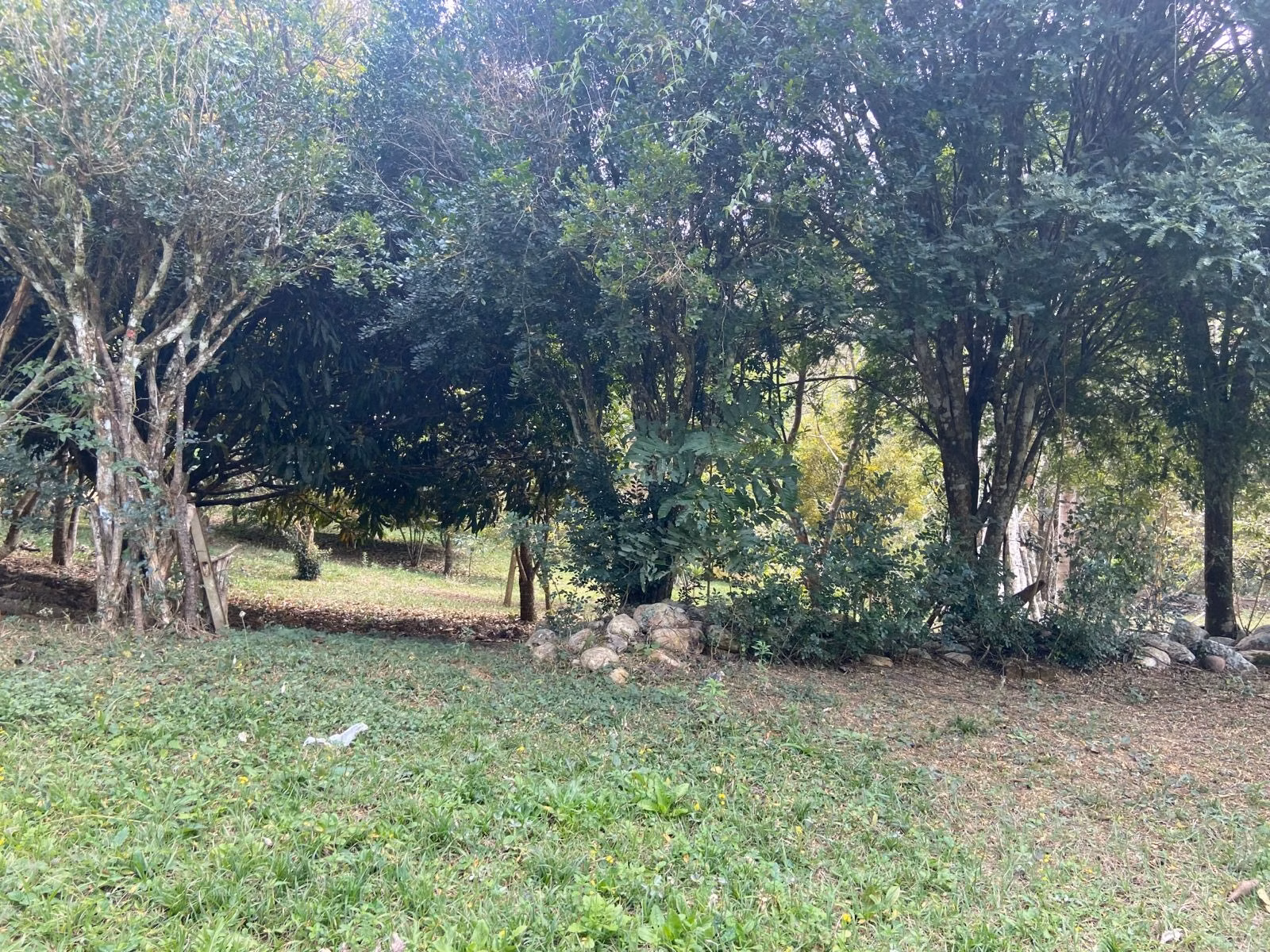 Small farm of 15 acres in São José dos Campos, SP, Brazil