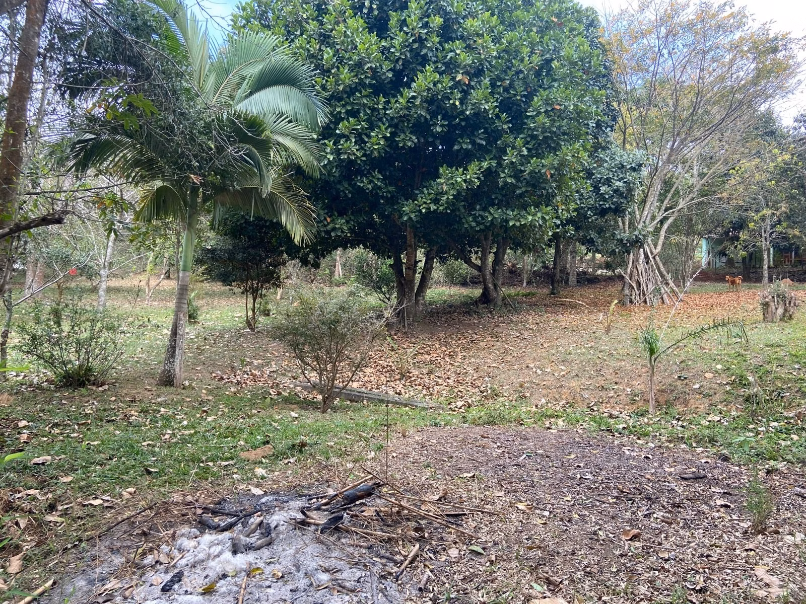 Small farm of 15 acres in São José dos Campos, SP, Brazil