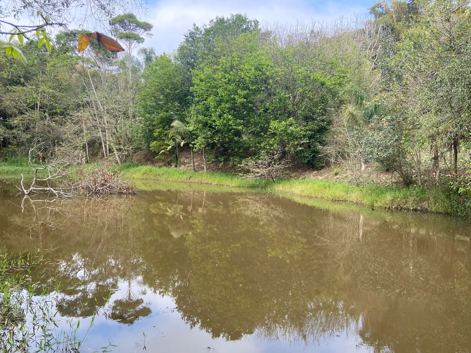 Small farm of 15 acres in São José dos Campos, SP, Brazil