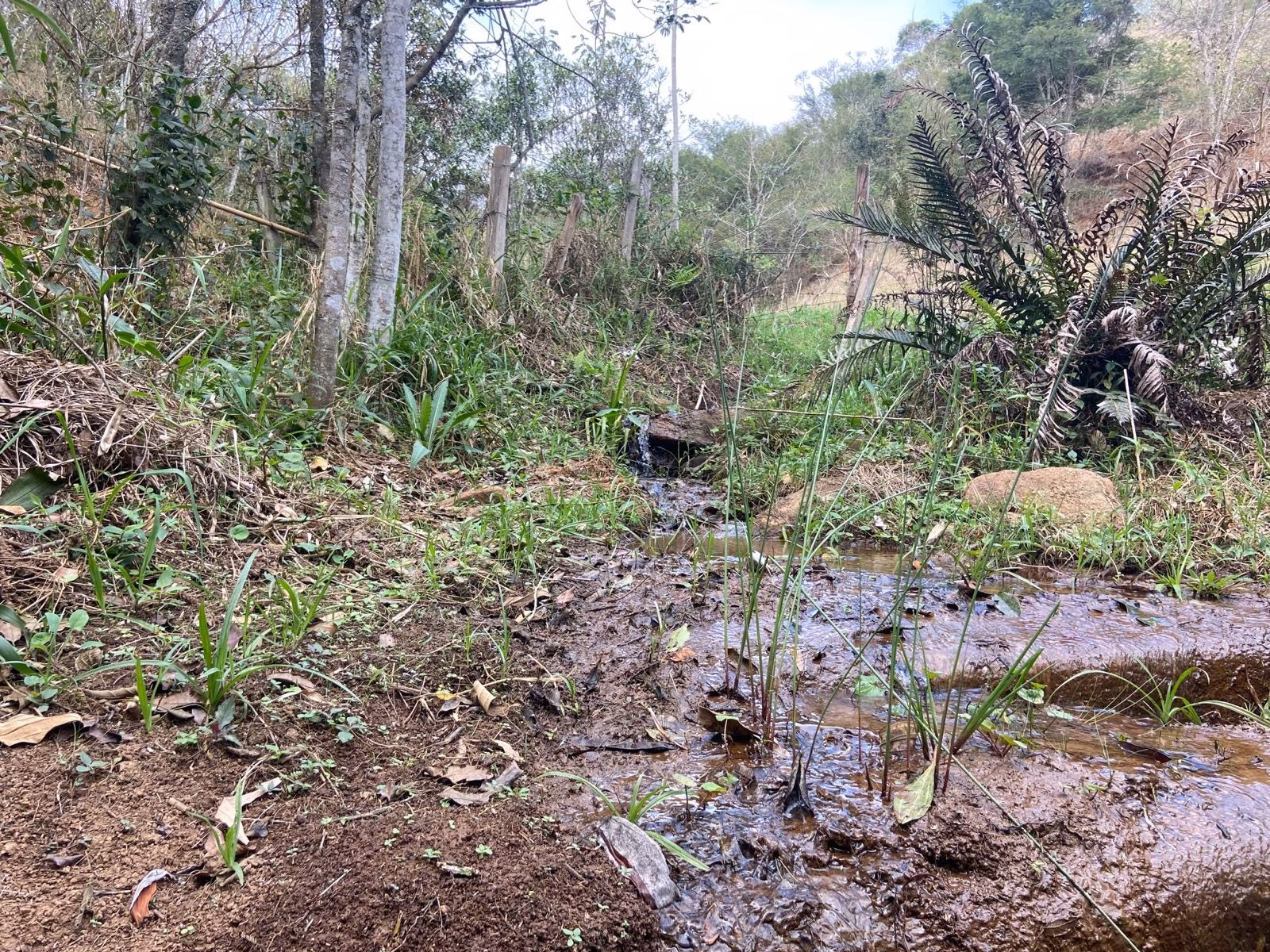 Small farm of 15 acres in São José dos Campos, SP, Brazil