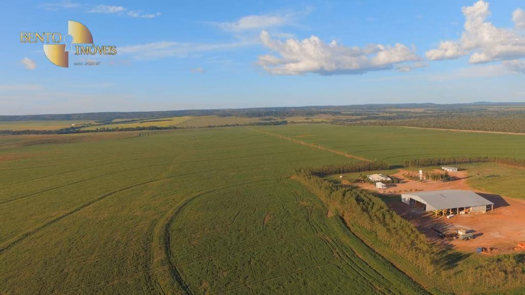 Fazenda de 5.600 ha em Primavera do Leste, MT