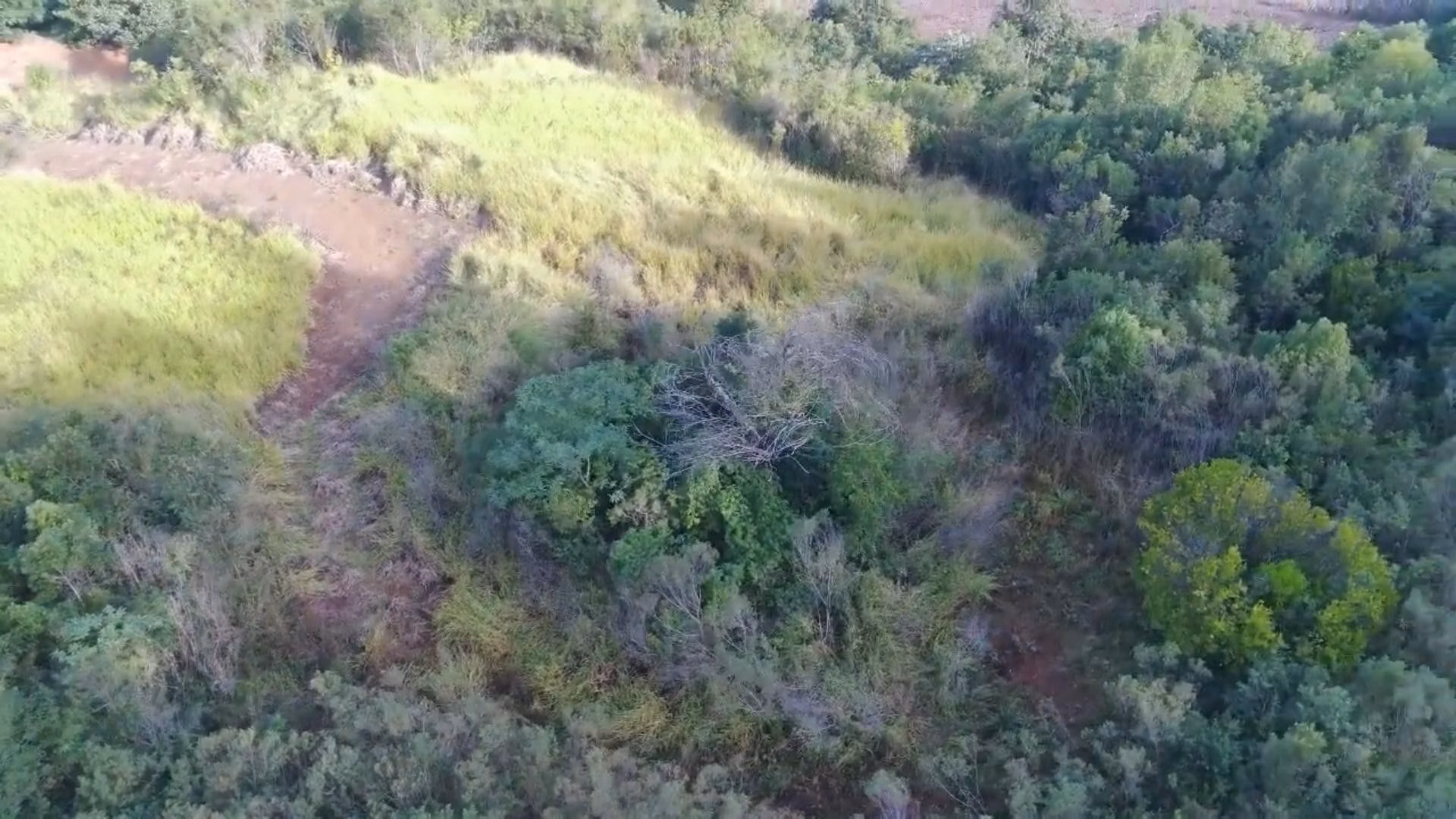Country home of 18 acres in Rolante, RS, Brazil