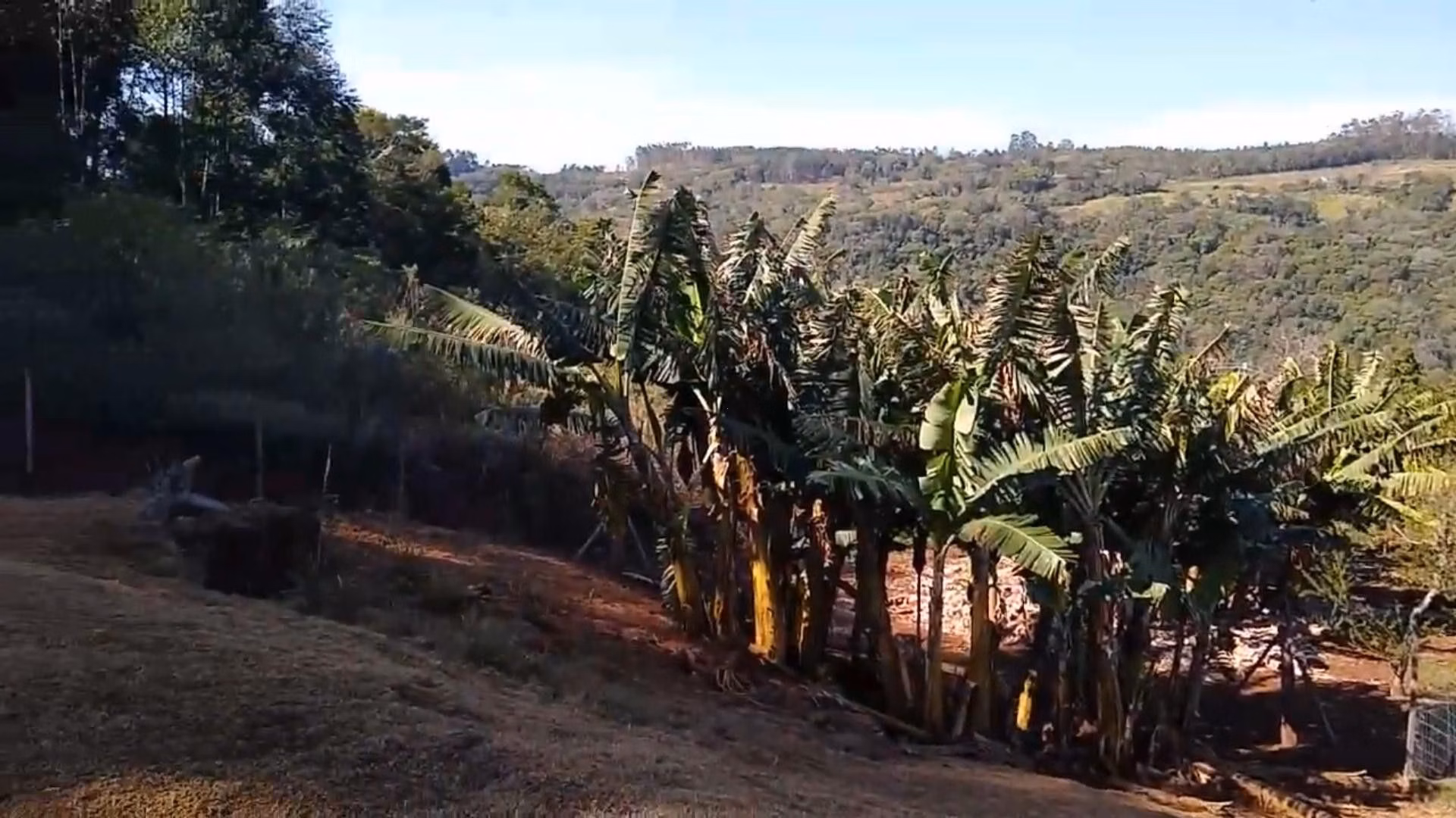 Country home of 18 acres in Rolante, RS, Brazil