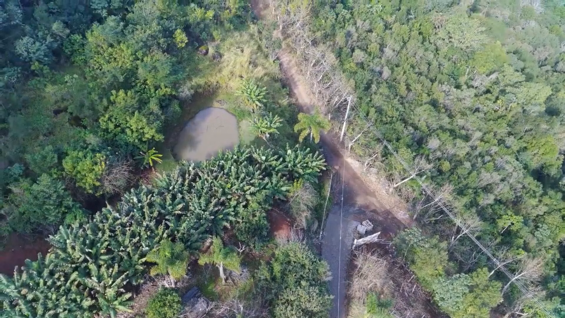 Country home of 18 acres in Rolante, RS, Brazil