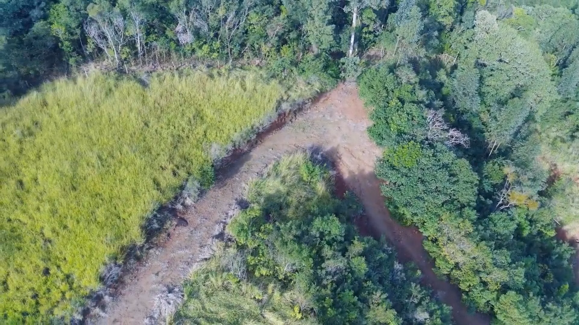 Chácara de 7 ha em Rolante, RS
