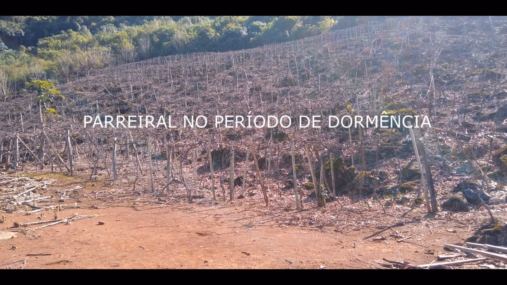 Country home of 18 acres in Rolante, RS, Brazil