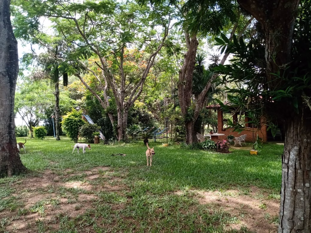 Small farm of 138 acres in Cesário Lange, SP, Brazil