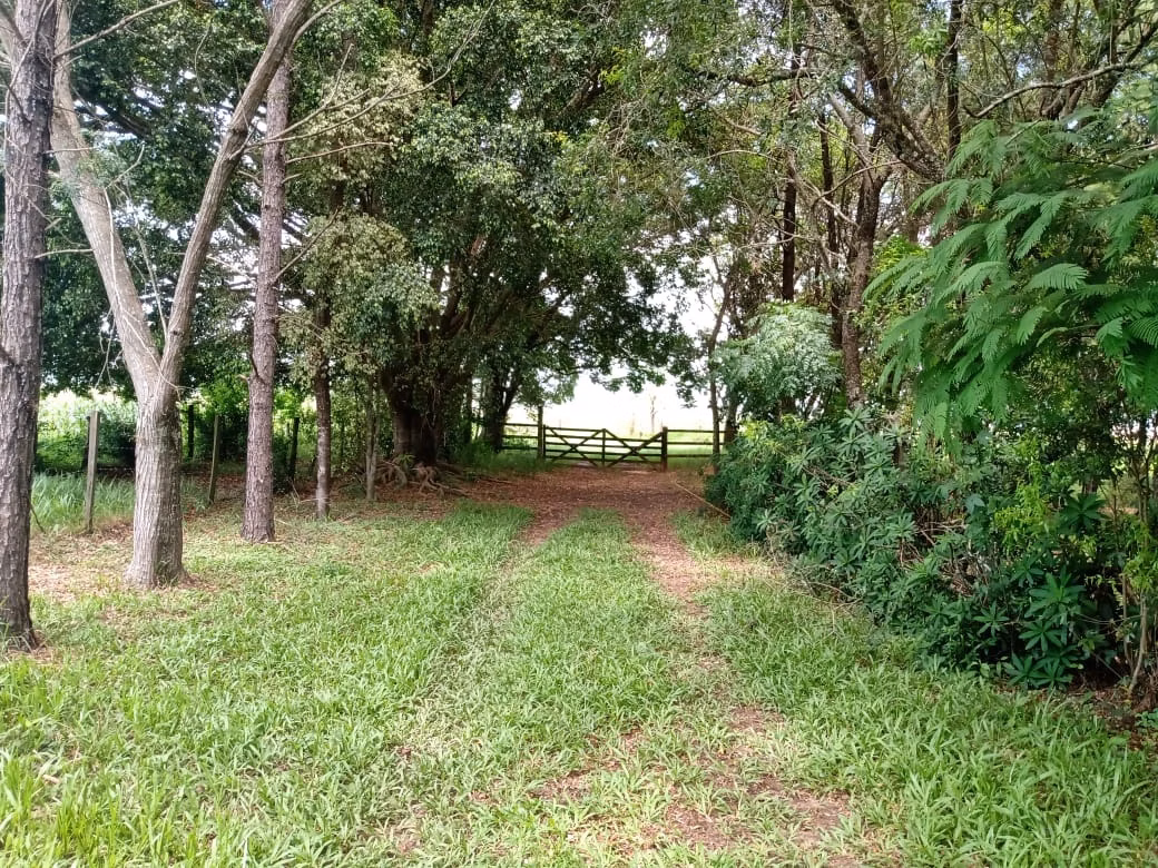 Sítio de 56 ha em Cesário Lange, SP