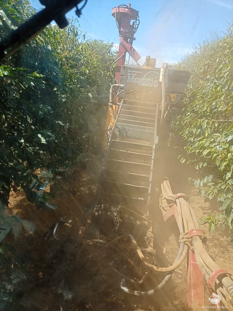 Fazenda de 239 ha em Lavras, MG