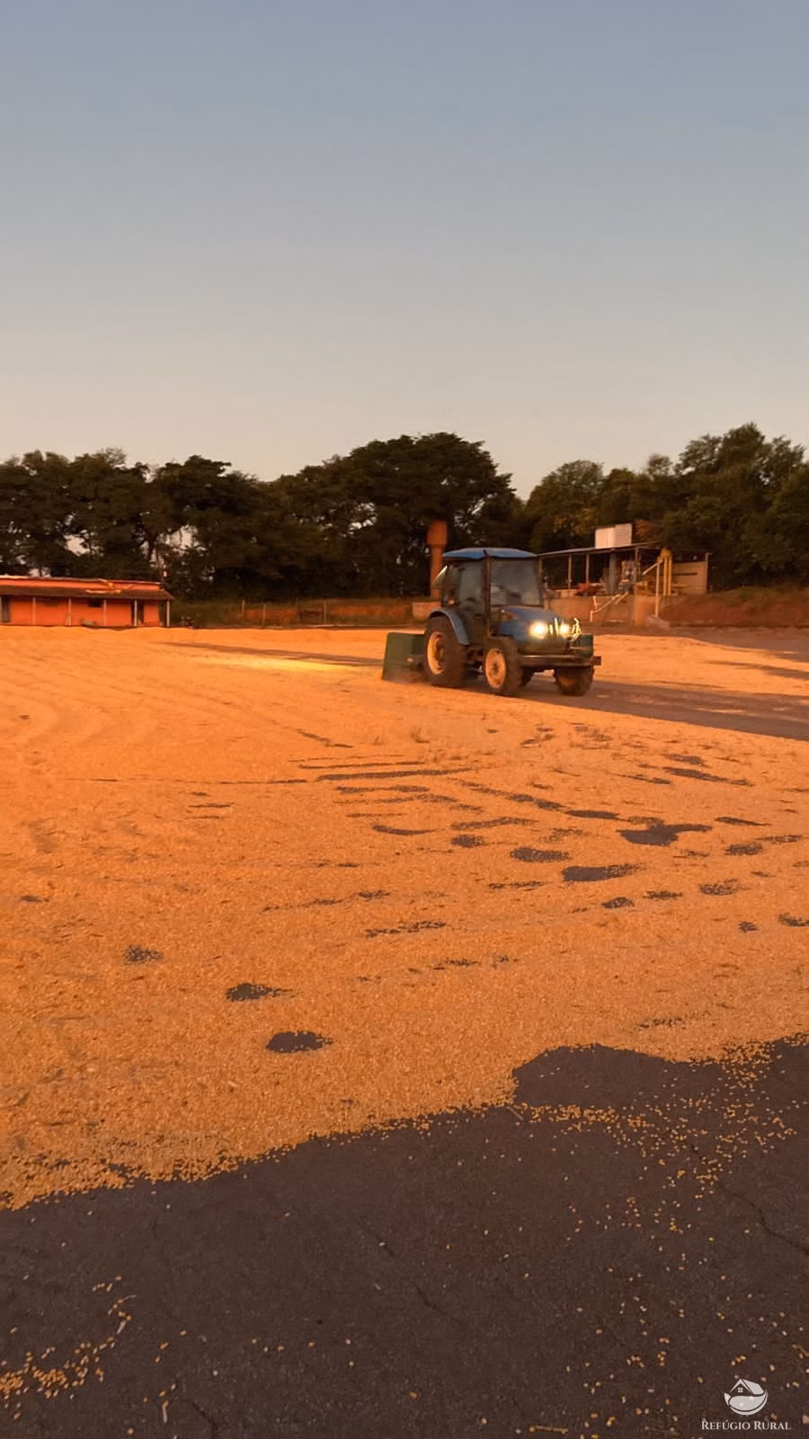 Fazenda de 239 ha em Lavras, MG