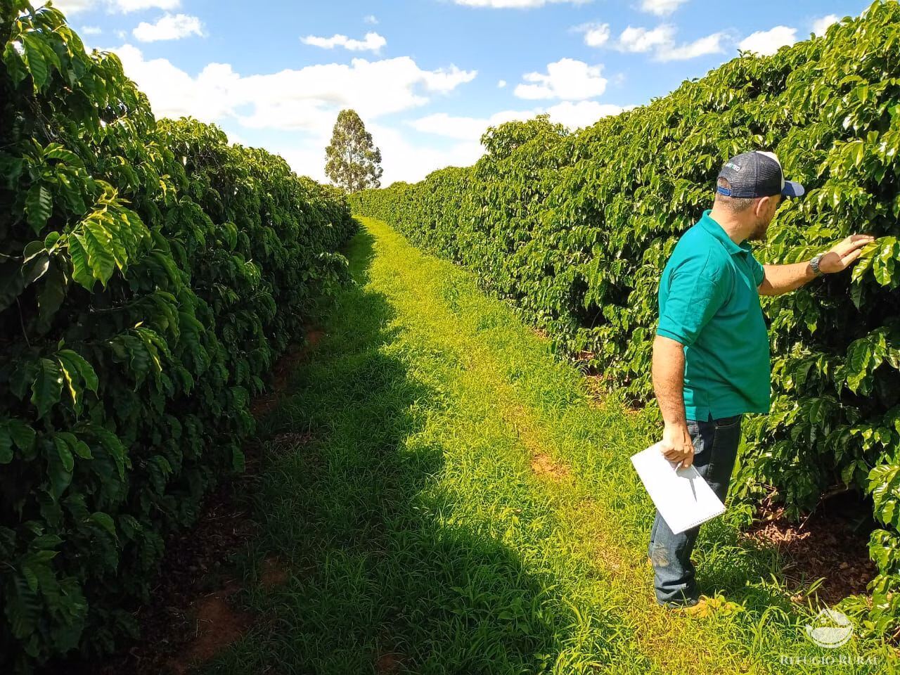 Fazenda de 239 ha em Lavras, MG