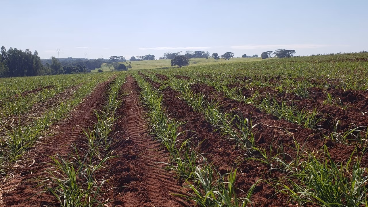 Fazenda de 172 ha em Nova Granada, SP