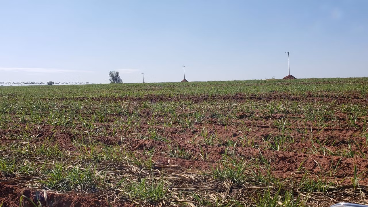Fazenda de 172 ha em Nova Granada, SP