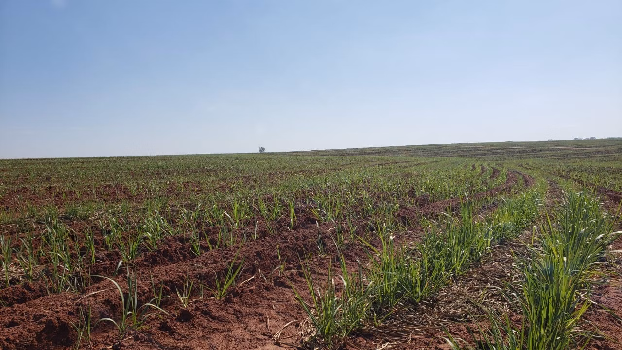 Fazenda de 172 ha em Nova Granada, SP