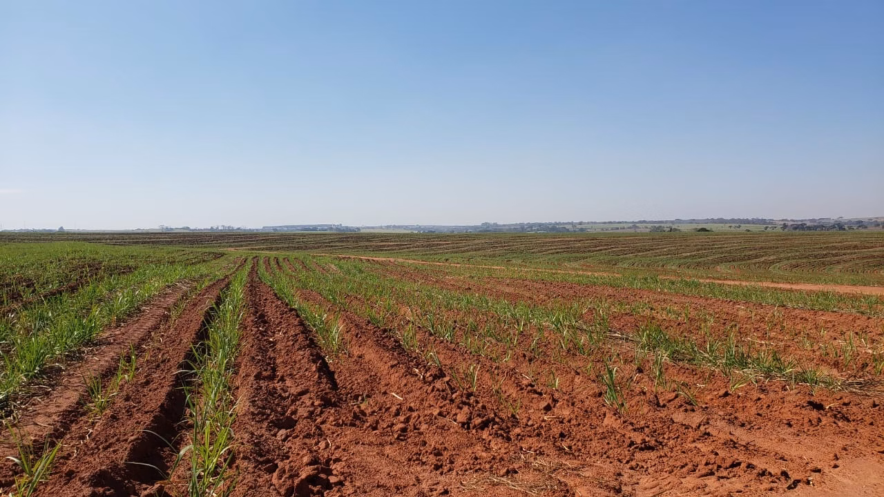 Fazenda de 172 ha em Nova Granada, SP