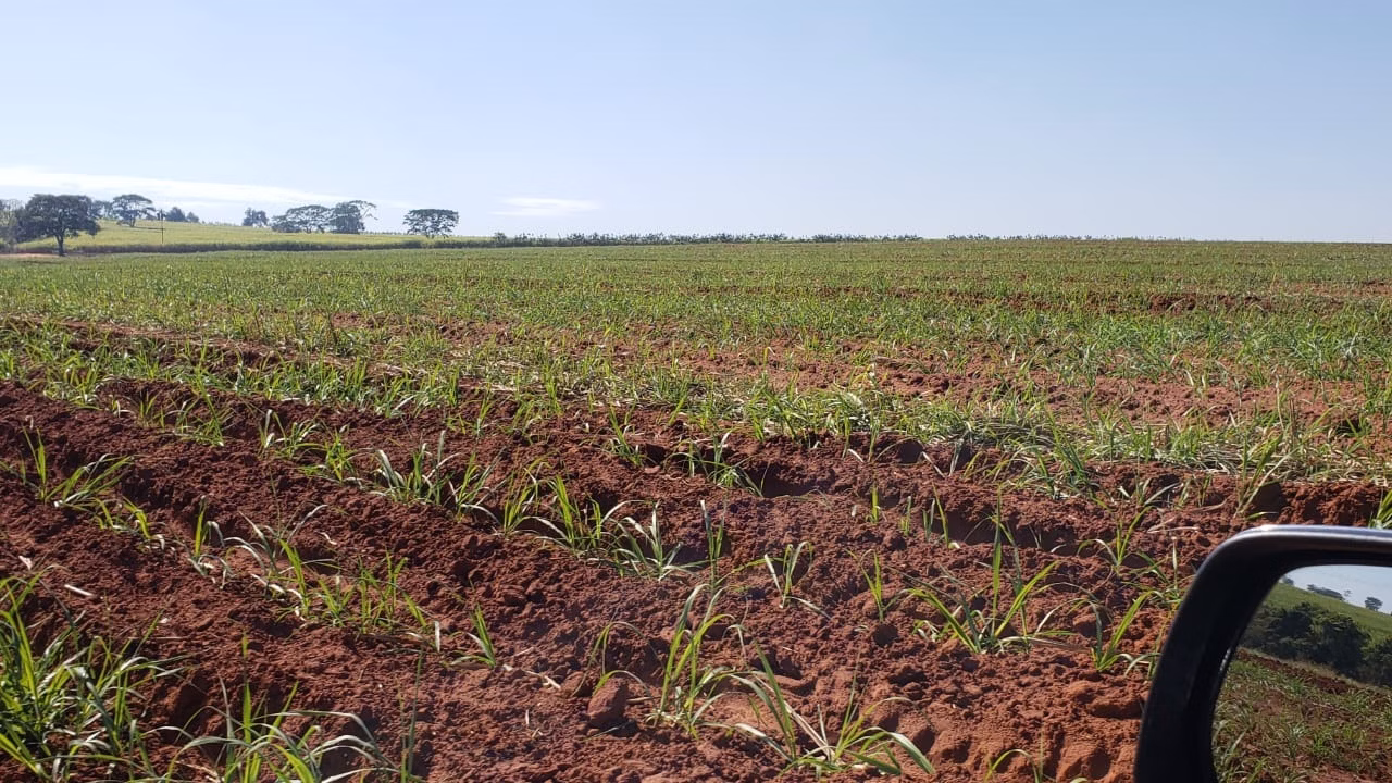 Fazenda de 172 ha em Nova Granada, SP