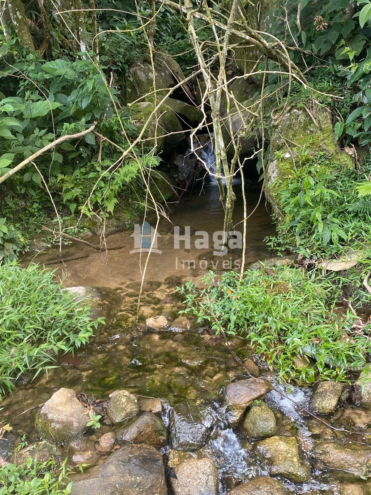 Chácara de 4 ha em Nova Trento, SC
