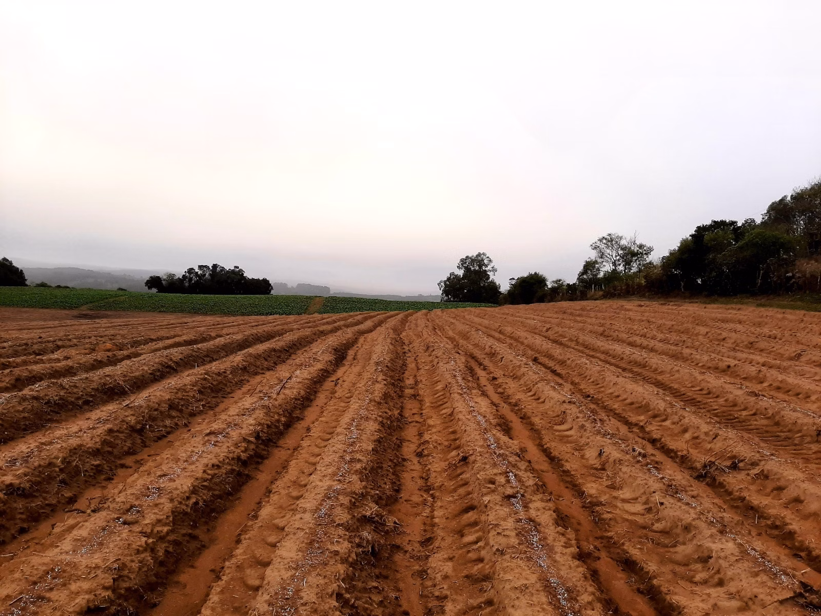 Sítio de 12 ha em Mariana Pimentel, RS