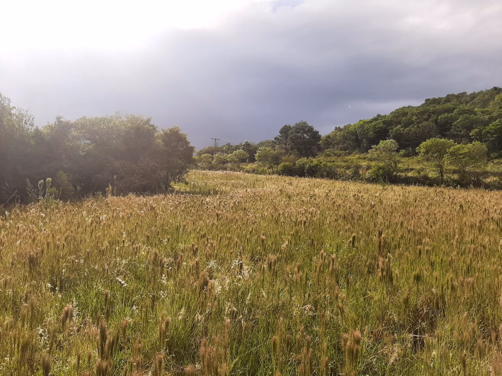 Small farm of 30 acres in Mariana Pimentel, RS, Brazil