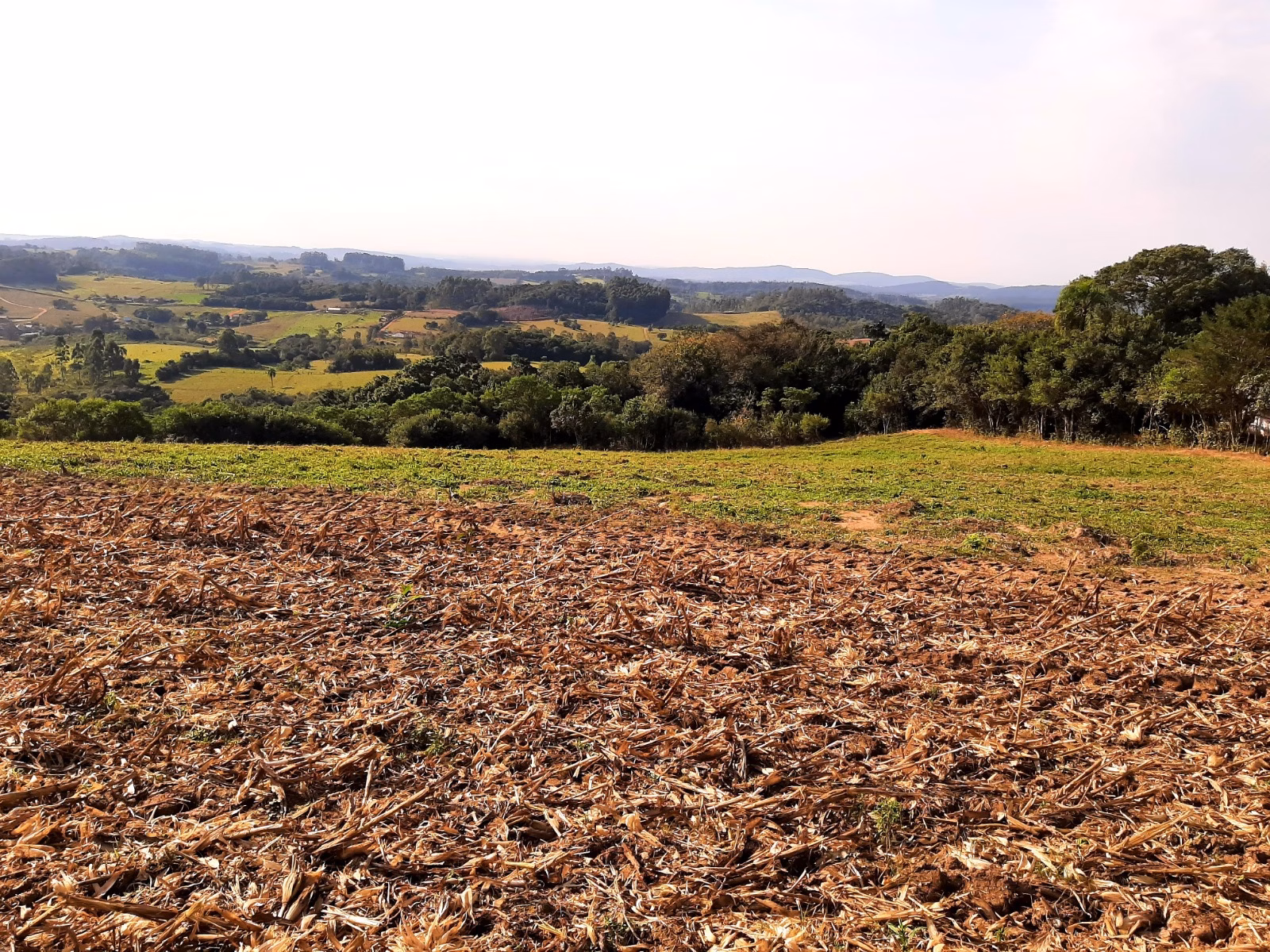 Small farm of 30 acres in Mariana Pimentel, RS, Brazil