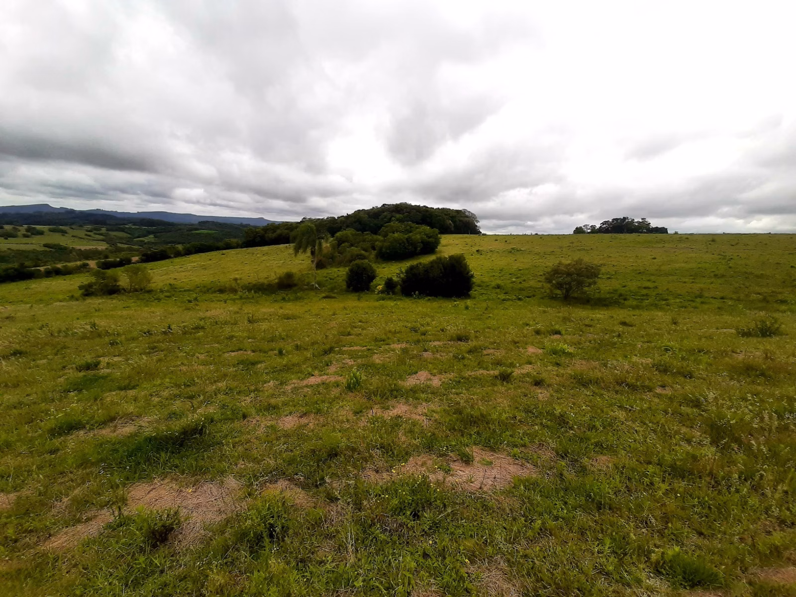 Sítio de 12 ha em Mariana Pimentel, RS