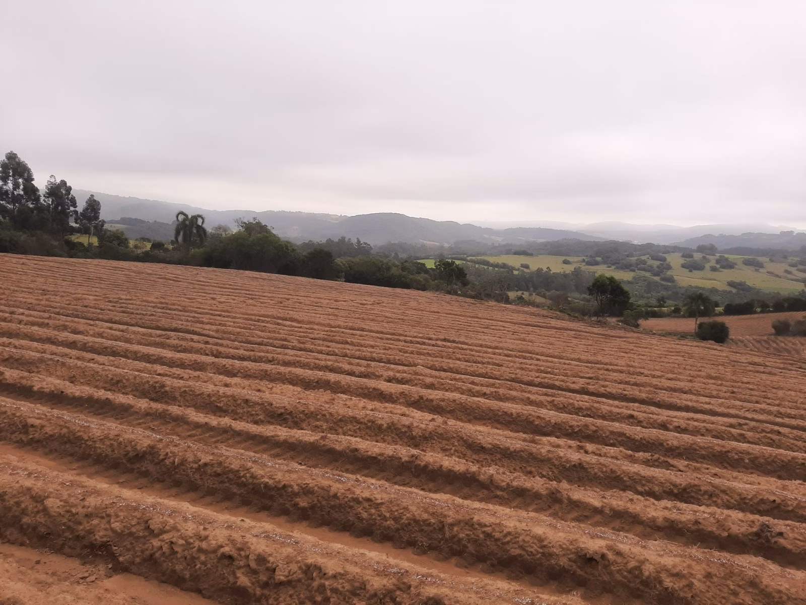 Sítio de 12 ha em Mariana Pimentel, RS