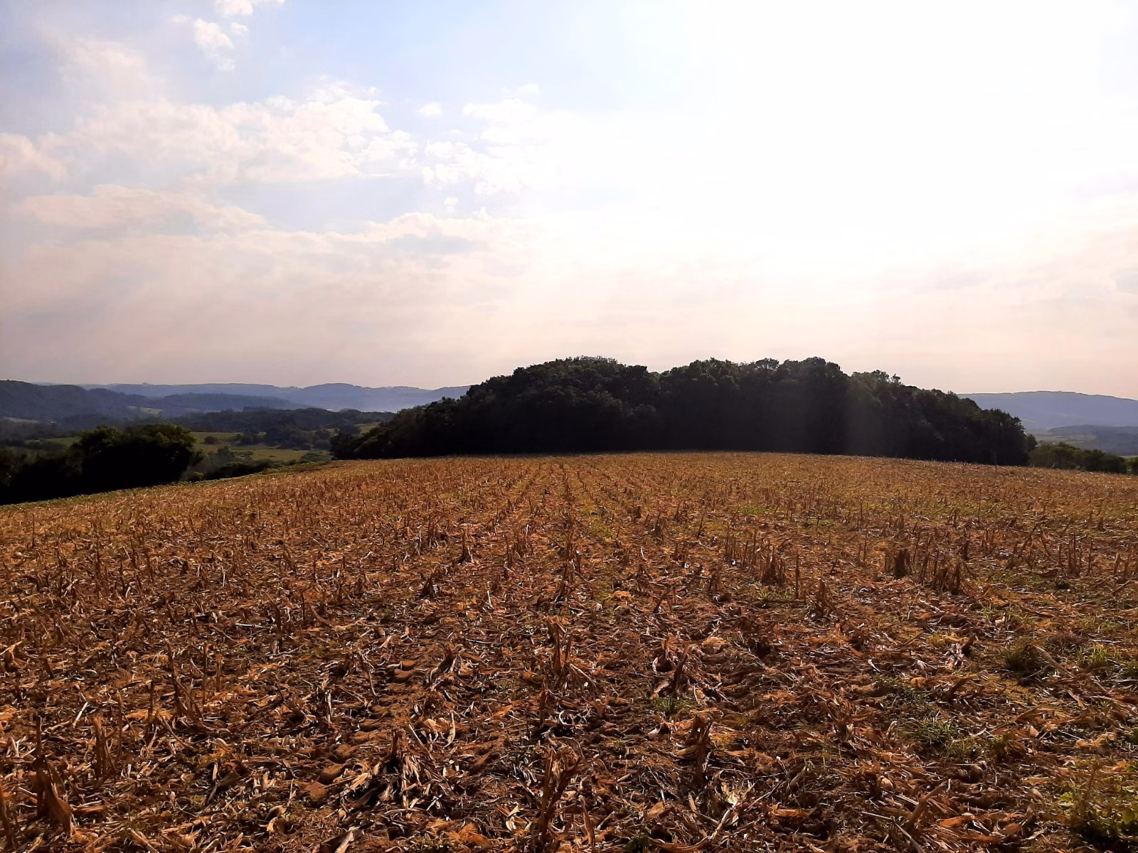 Small farm of 30 acres in Mariana Pimentel, RS, Brazil