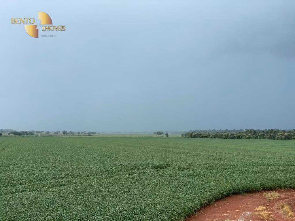Fazenda de 460 ha em Nobres, MT