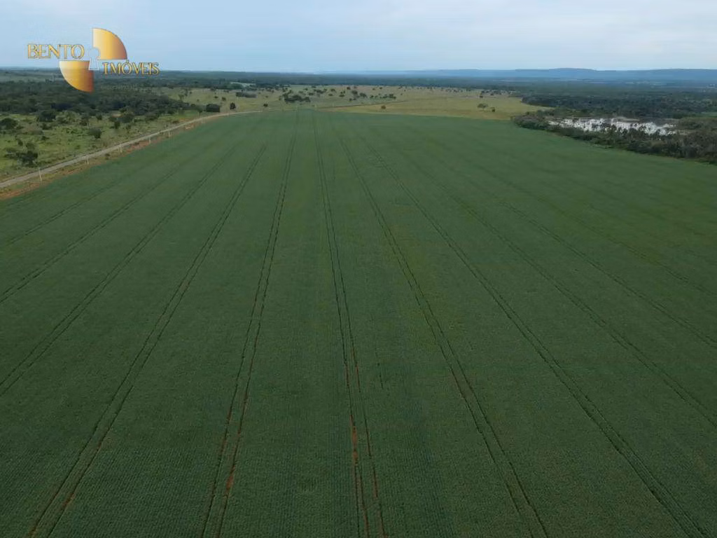 Fazenda de 460 ha em Nobres, MT