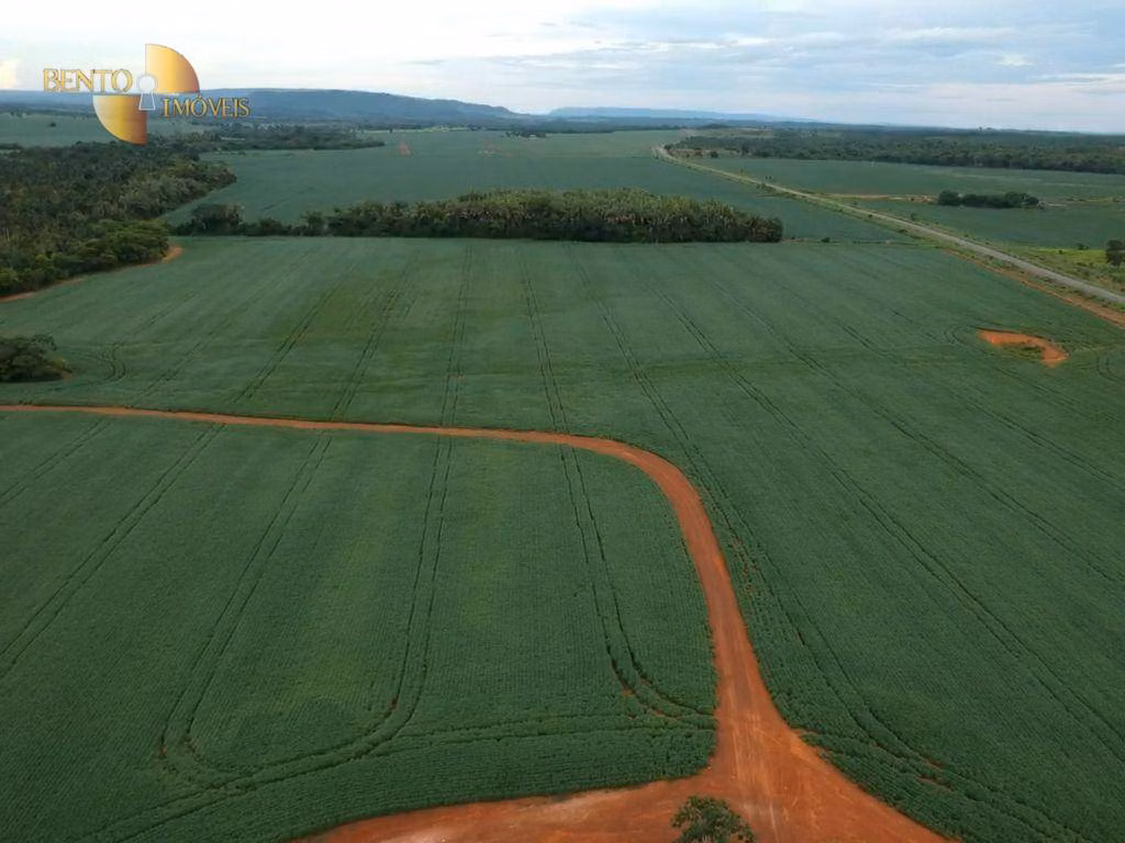 Fazenda de 460 ha em Nobres, MT