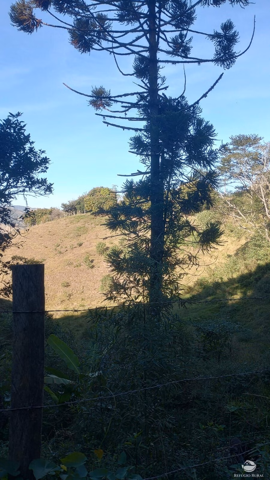 Sítio de 16 ha em Monteiro Lobato, SP