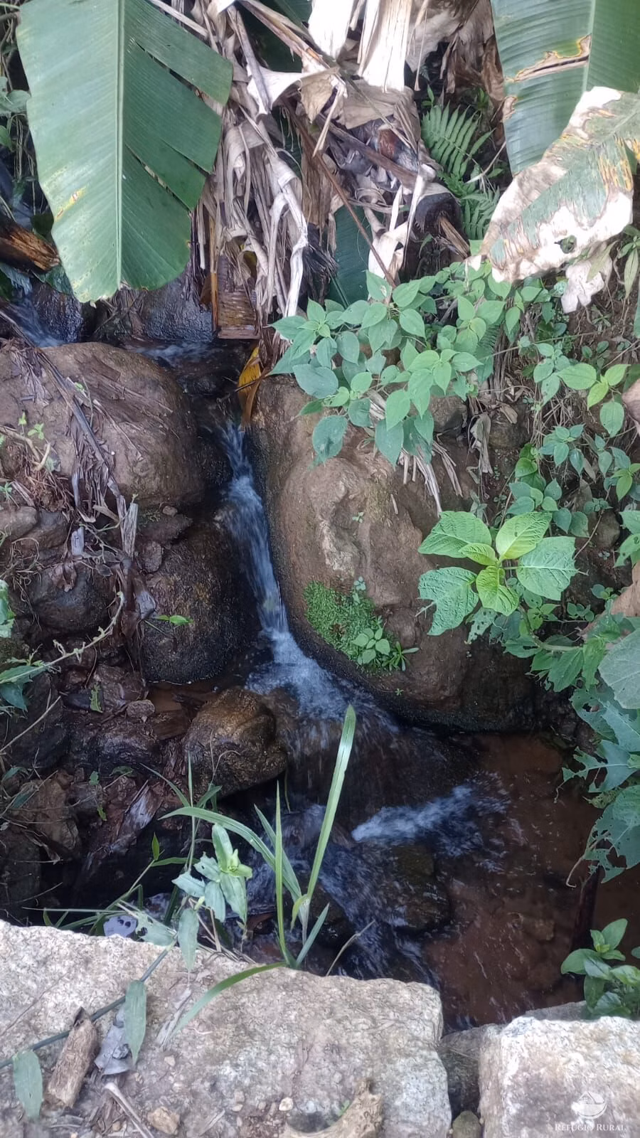 Sítio de 16 ha em Monteiro Lobato, SP