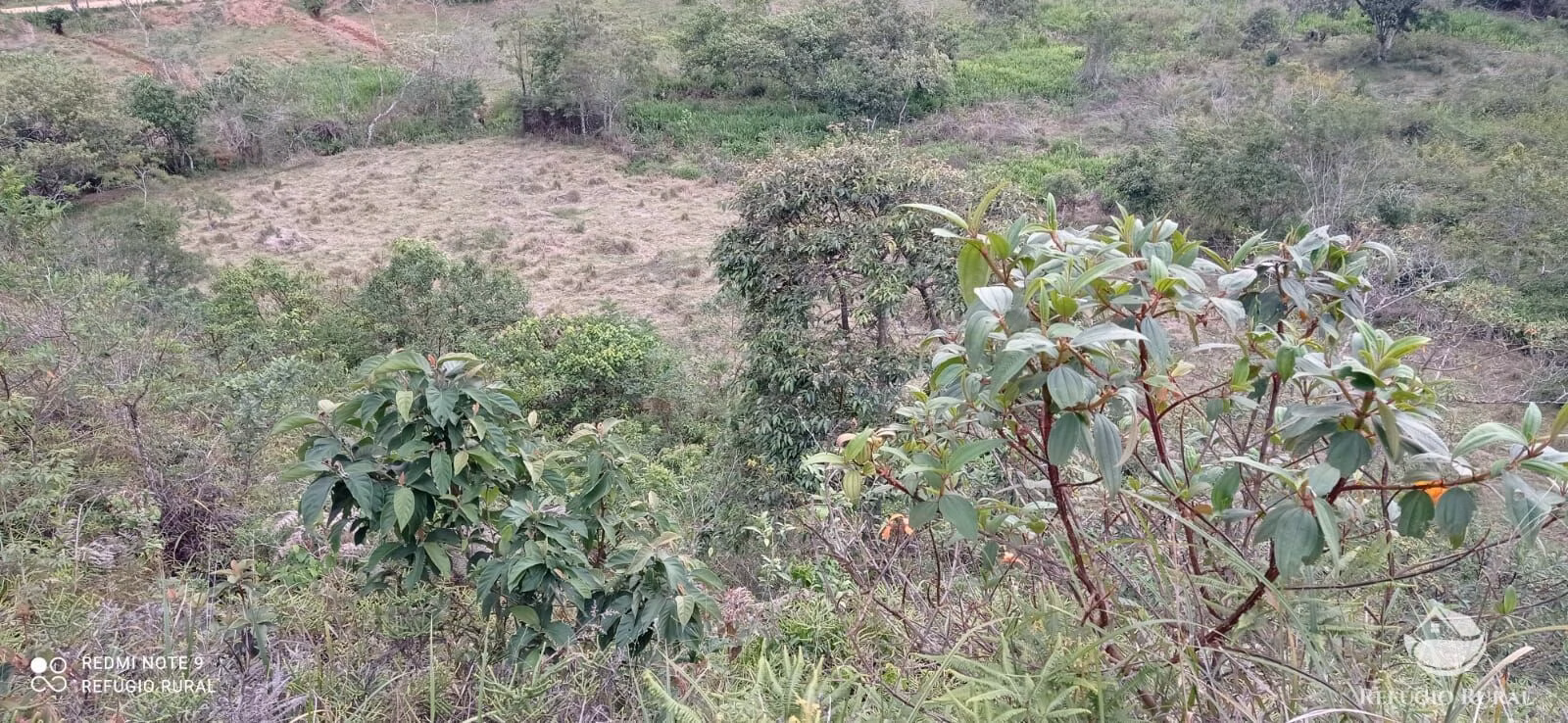 Sítio de 14 ha em Monteiro Lobato, SP