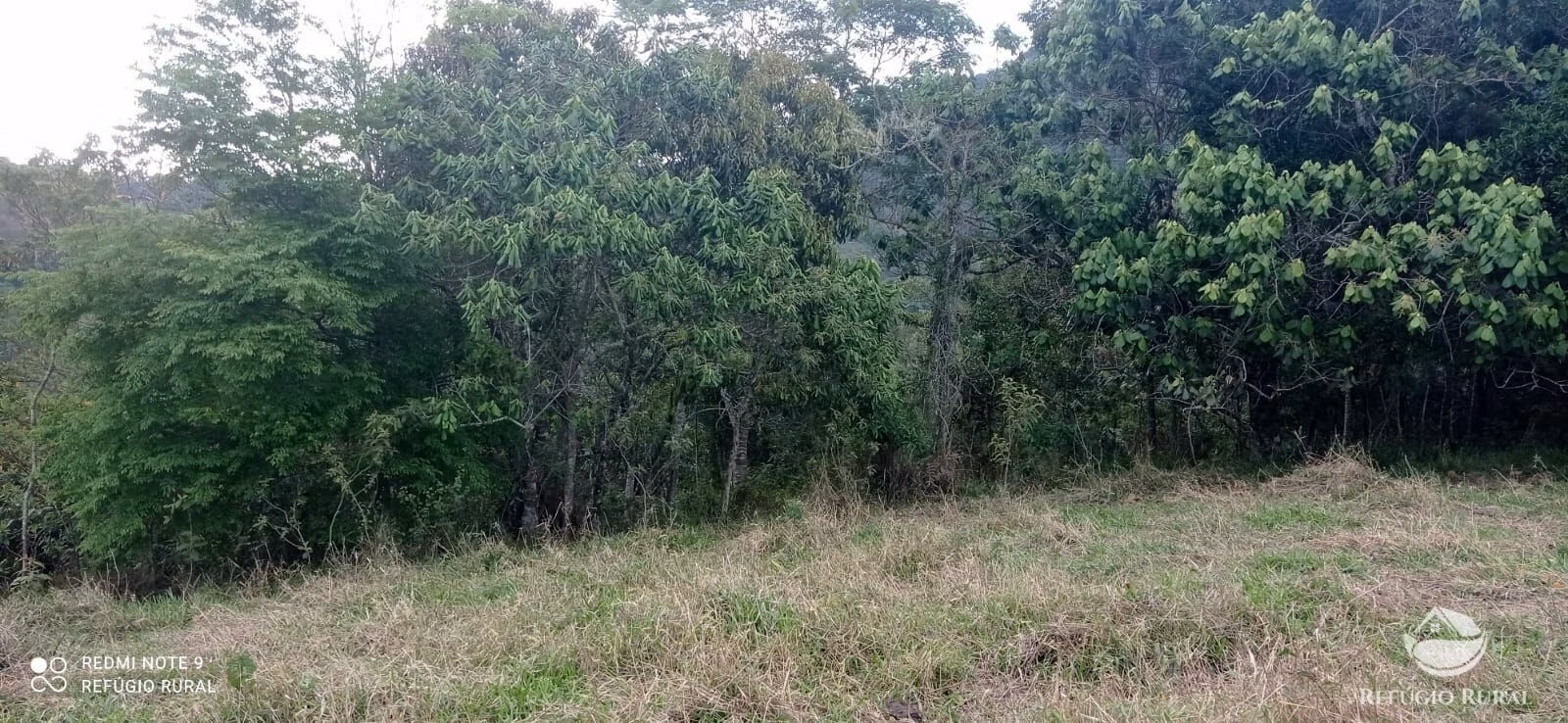 Sítio de 14 ha em Monteiro Lobato, SP