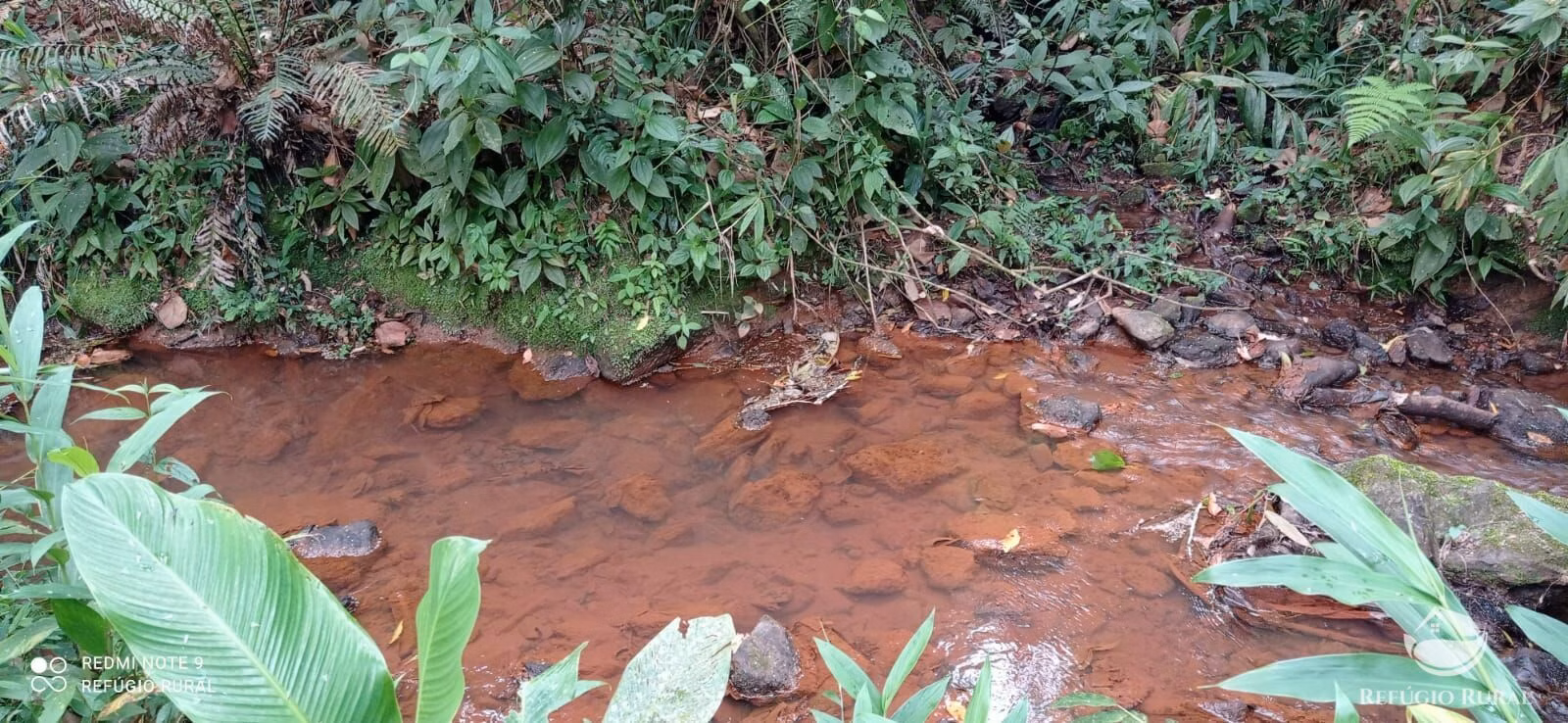 Sítio de 14 ha em Monteiro Lobato, SP