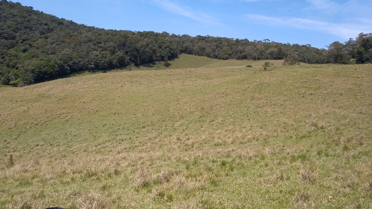 Sítio de 77 ha em Ribeirão Branco, SP