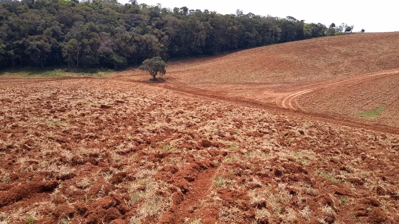 Sítio de 77 ha em Ribeirão Branco, SP