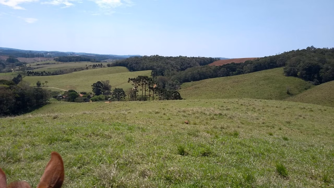 Sítio de 77 ha em Ribeirão Branco, SP