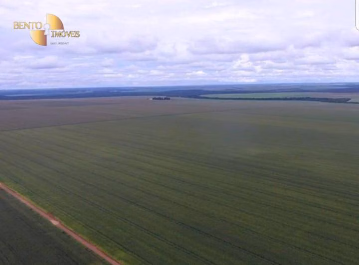 Fazenda de 3.200 ha em Diamantino, MT