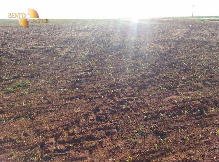 Fazenda de 3.200 ha em Diamantino, MT