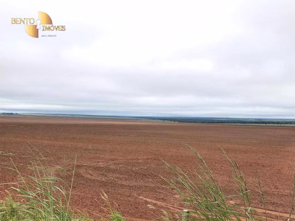 Fazenda de 3.200 ha em Diamantino, MT