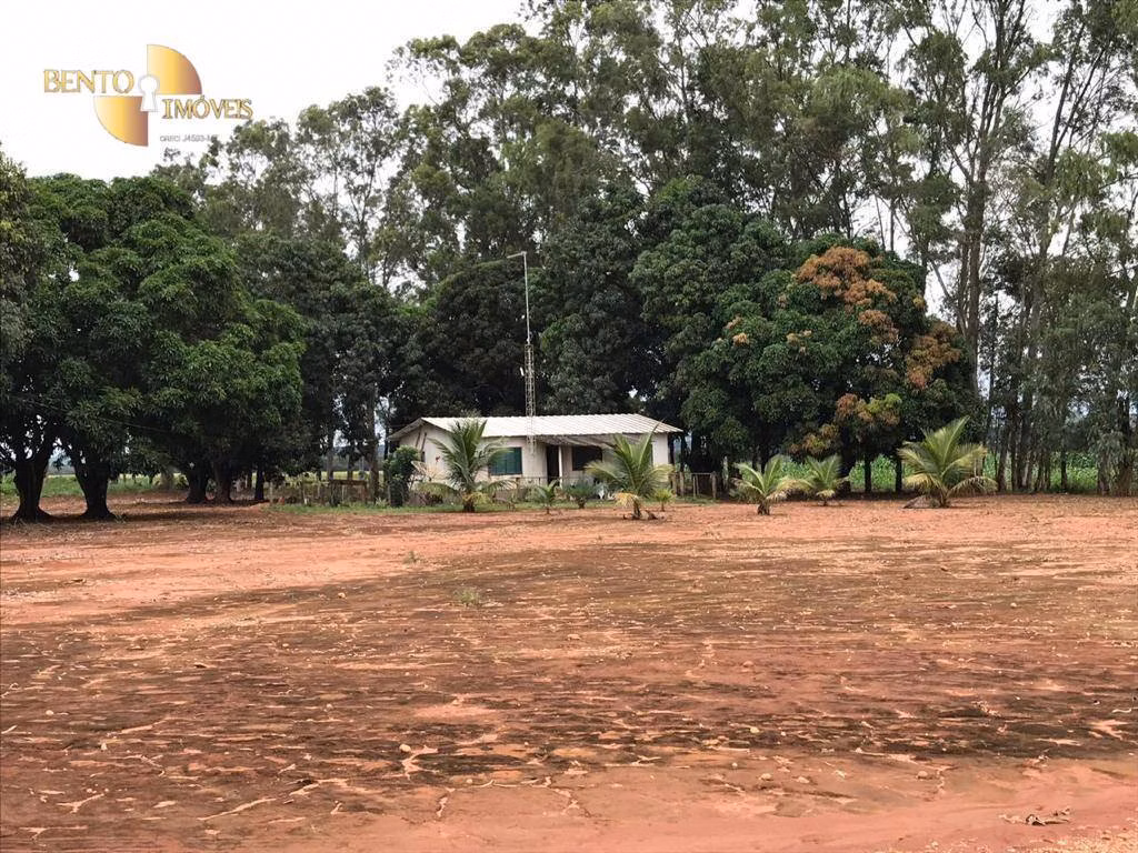 Fazenda de 3.200 ha em Diamantino, MT