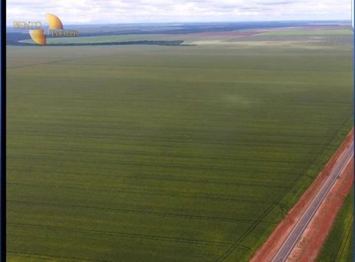 Fazenda de 3.200 ha em Diamantino, MT