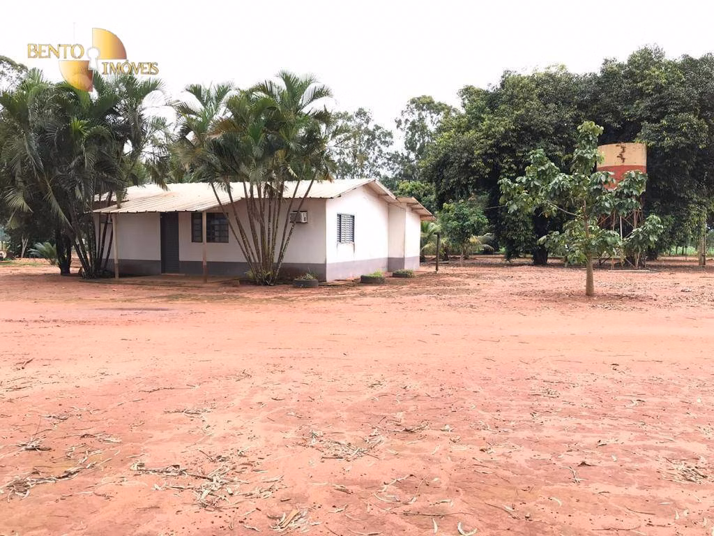 Fazenda de 3.200 ha em Diamantino, MT