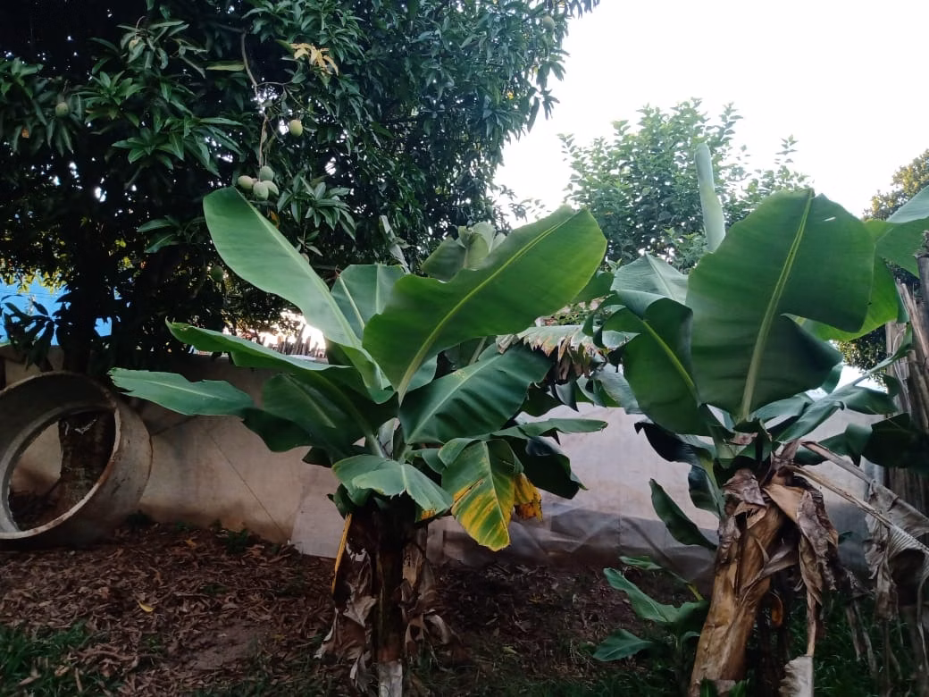 Country home of 3,000 m² in Angatuba, SP, Brazil
