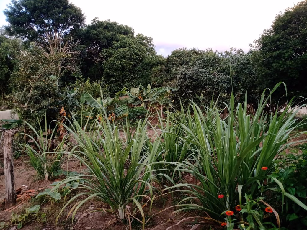 Country home of 3,000 m² in Angatuba, SP, Brazil