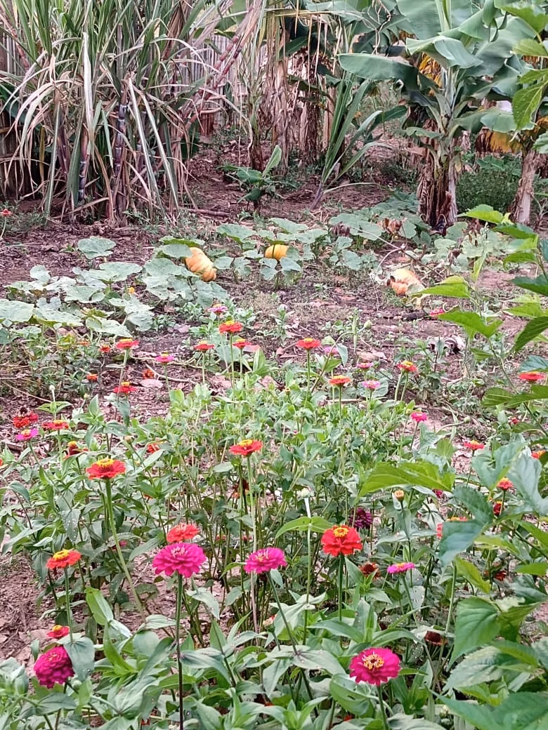 Country home of 3,000 m² in Angatuba, SP, Brazil