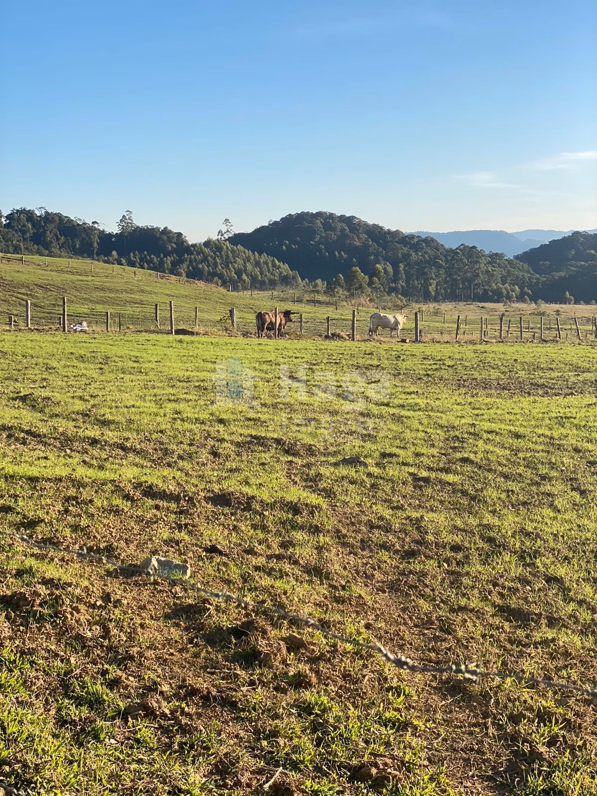 Country home of 1,942 acres in Timbó, SC, Brazil