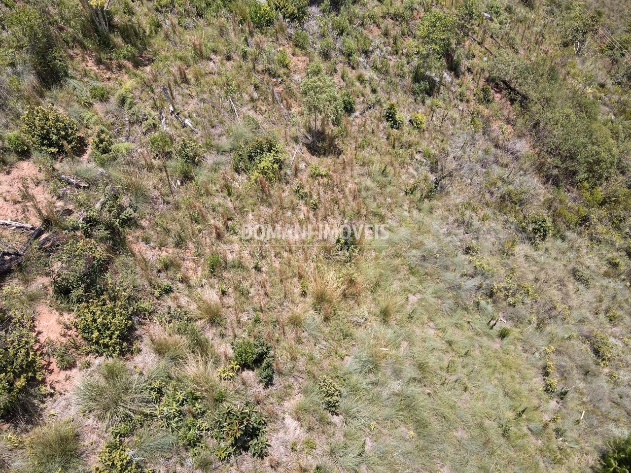 Plot of 1,610 m² in Campos do Jordão, SP, Brazil