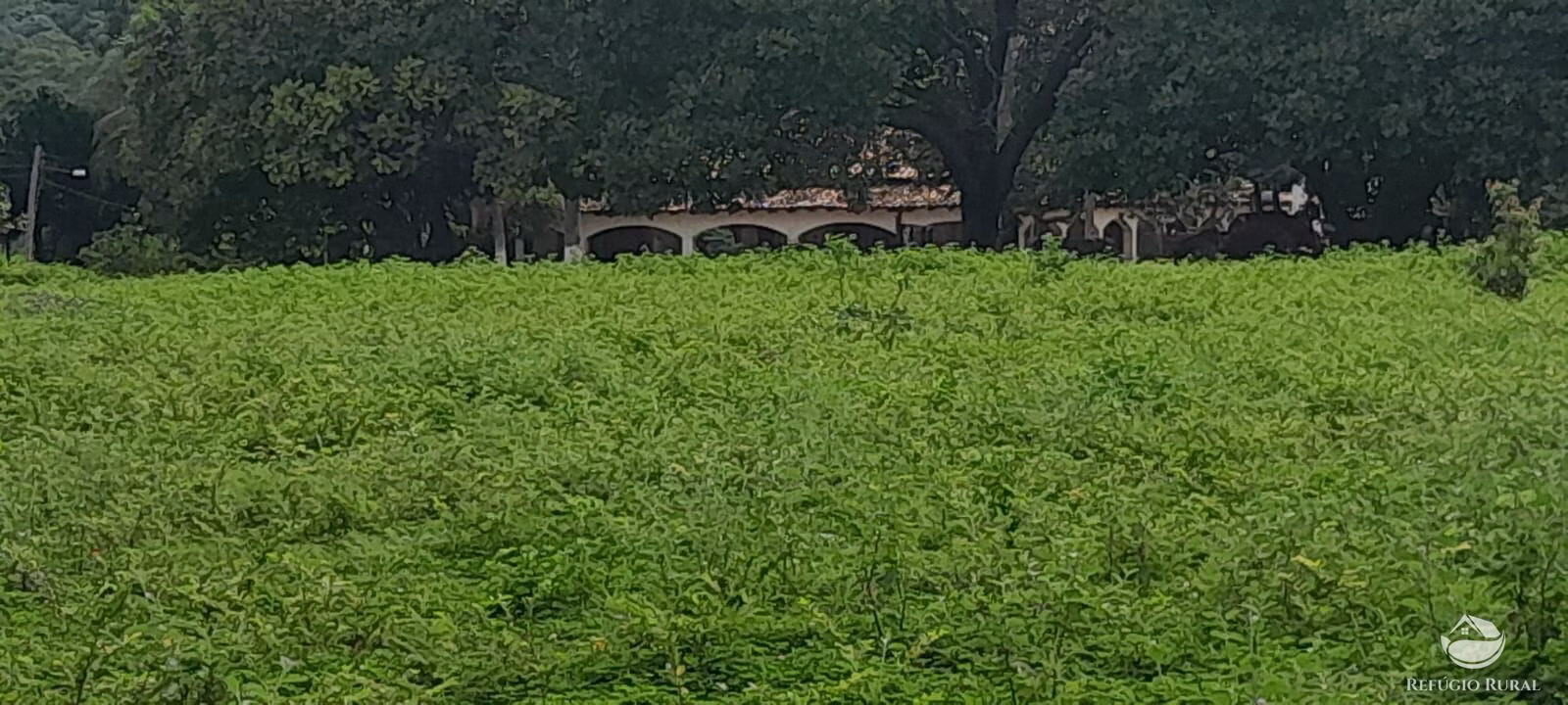 Fazenda de 1.161 ha em Peixe, TO